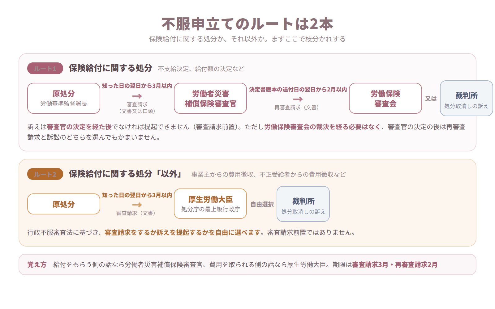 保険給付に関する処分とそれ以外の処分で分かれる不服申立てのルート図