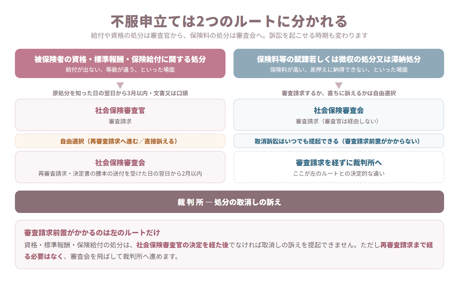 健康保険の不服申立てについて、給付等の処分と保険料等の処分の2ルートを審査官・審査会・裁判所の流れで示した図